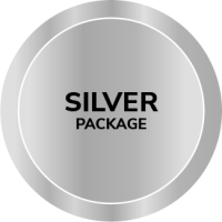 icon-silver